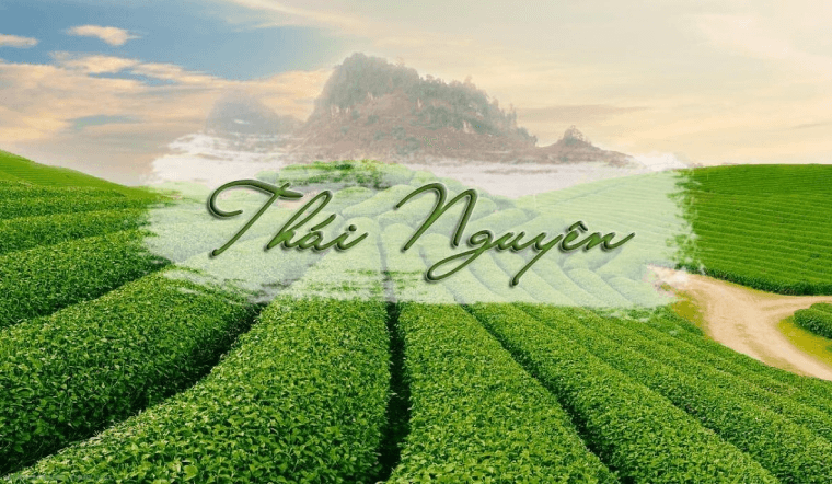 Xe ghép Thái Nguyên Hà Nội trọn gói giá rẻ chỉ với 150k